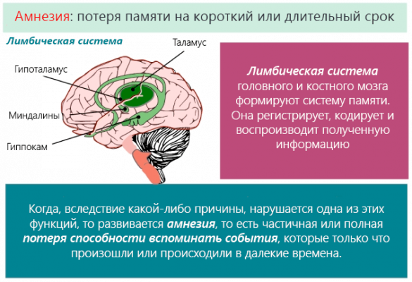 Программа восстановления памяти после инсульта